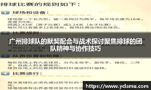 南宫NG28