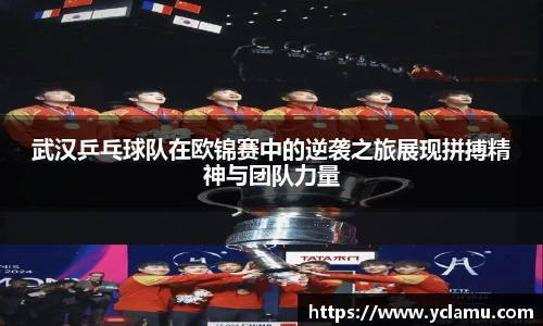 南宫NG28