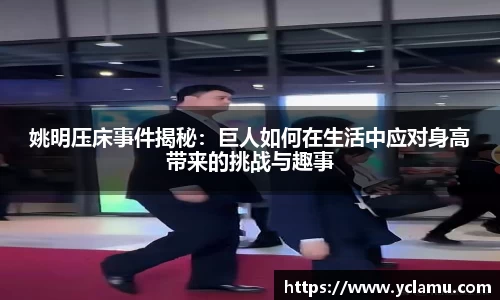 南宫NG28