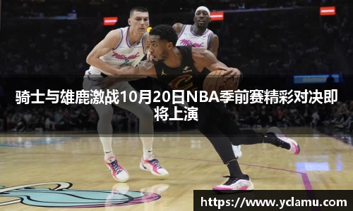 南宫NG28