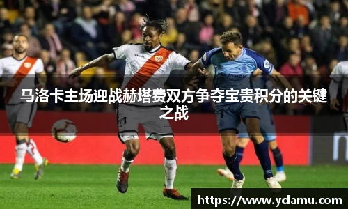 南宫NG28