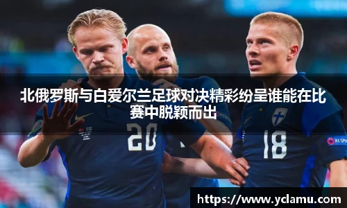 南宫NG28