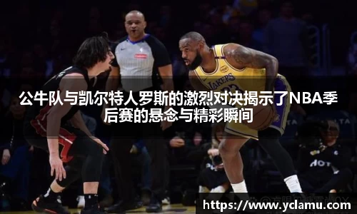 南宫29