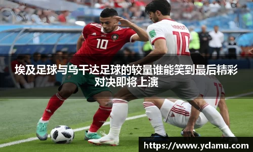 RAYBET雷竞技app下载