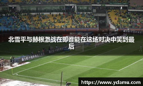 RAYBET雷竞技app下载