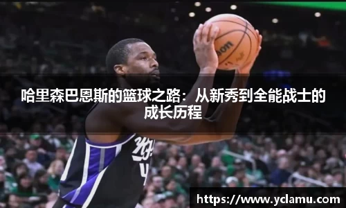 雷竞技官网