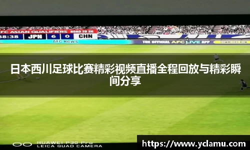雷竞技Raybet