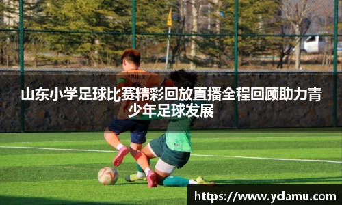 RAYBET雷竞技app下载